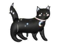 Katze